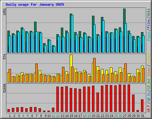 Daily usage for January 2025