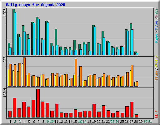 Daily usage for August 2025