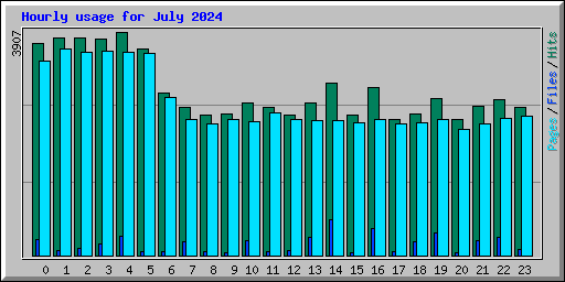 Hourly usage for July 2024