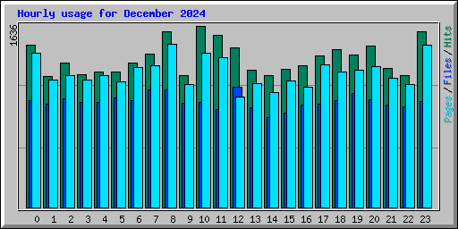 Hourly usage for December 2024