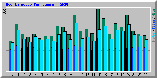 Hourly usage for January 2025