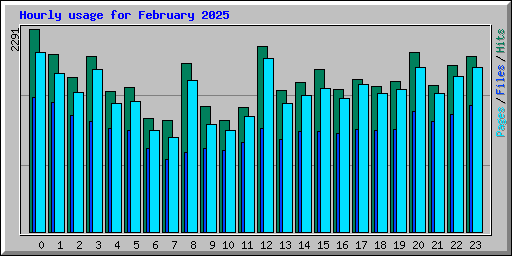 Hourly usage for February 2025