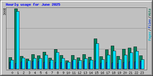 Hourly usage for June 2025
