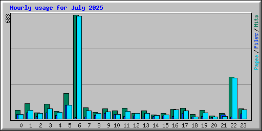 Hourly usage for July 2025
