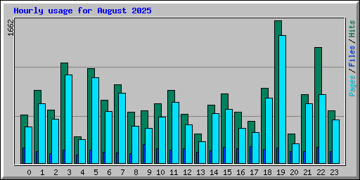 Hourly usage for August 2025