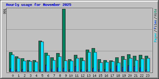 Hourly usage for November 2025