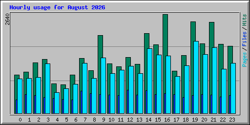 Hourly usage for August 2026