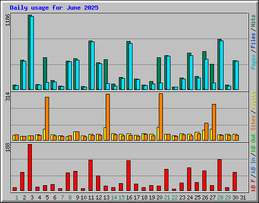 Daily usage for June 2025