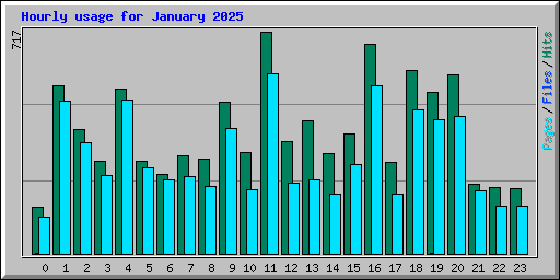 Hourly usage for January 2025