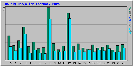 Hourly usage for February 2025