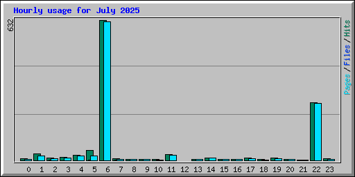 Hourly usage for July 2025
