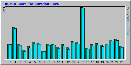Hourly usage for November 2025